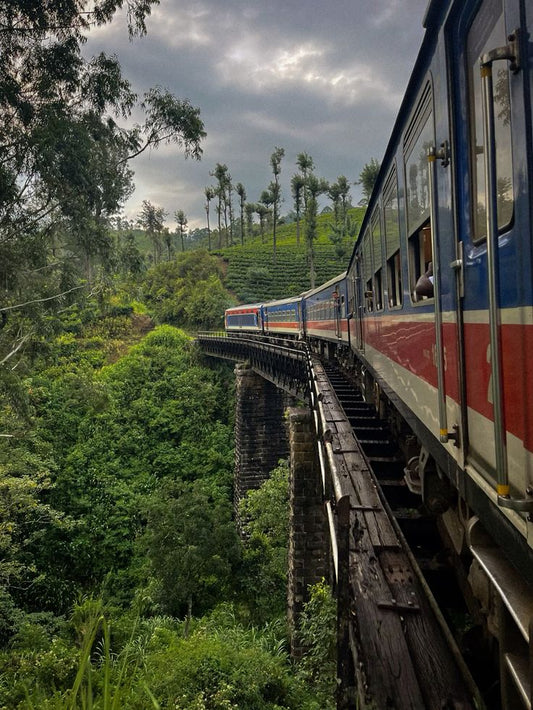 Introducing ProGlobe Luxe: A New Standard in Travel Comfort